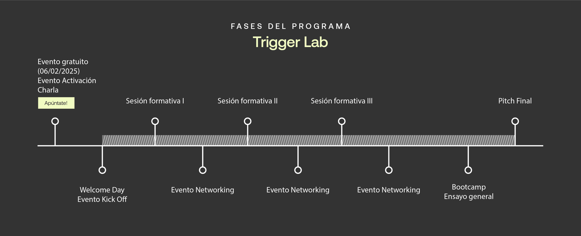 Fases del Programa Trigger